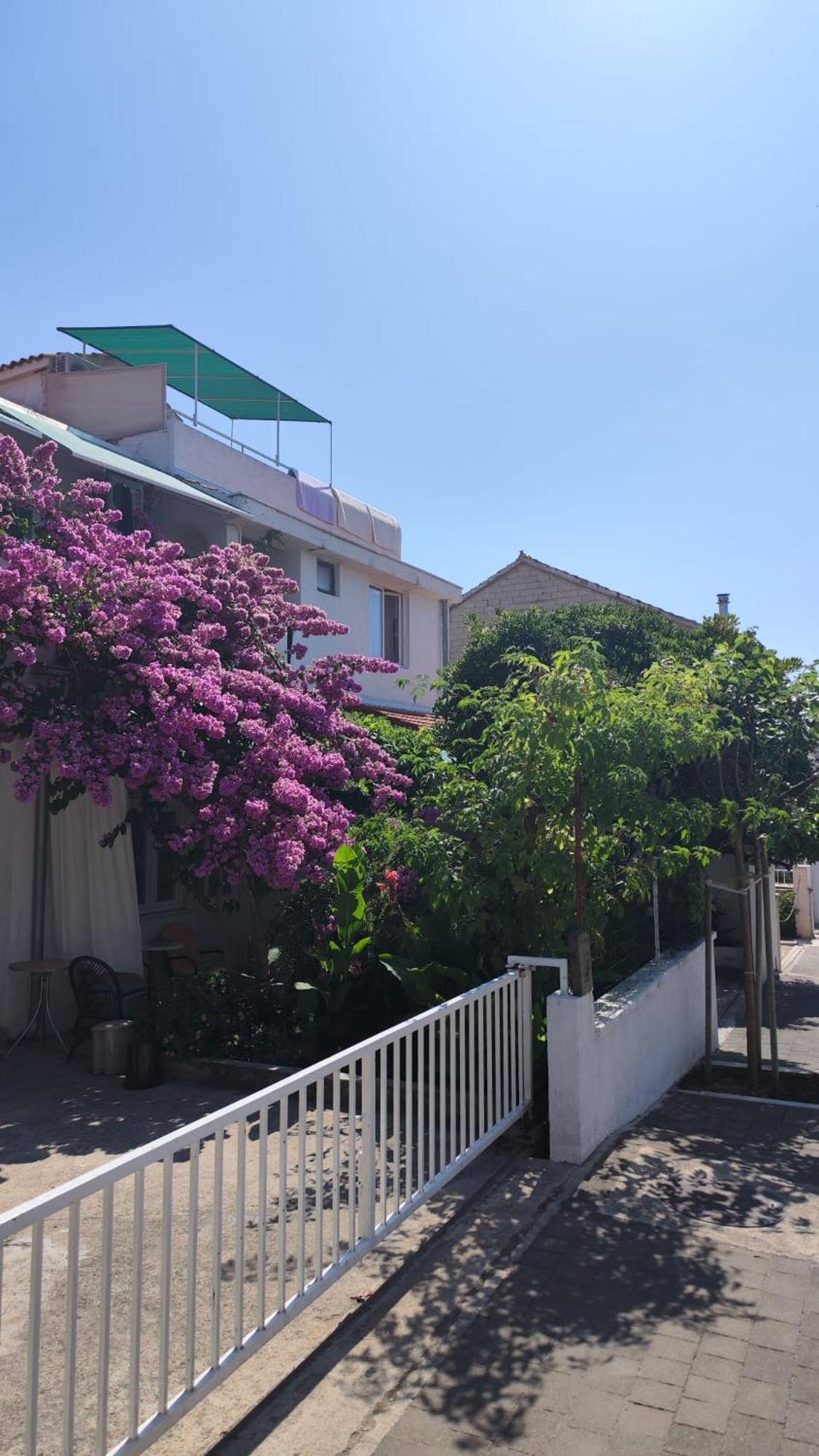 Apartments Suri โวดีเซ ภายนอก รูปภาพ